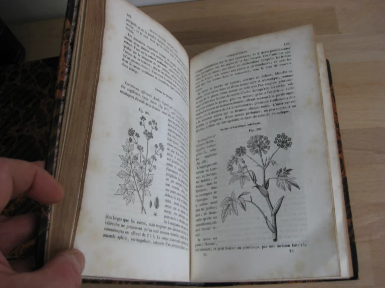 Histoire naturelle des drogues simples ou cours d'histoire naturelle