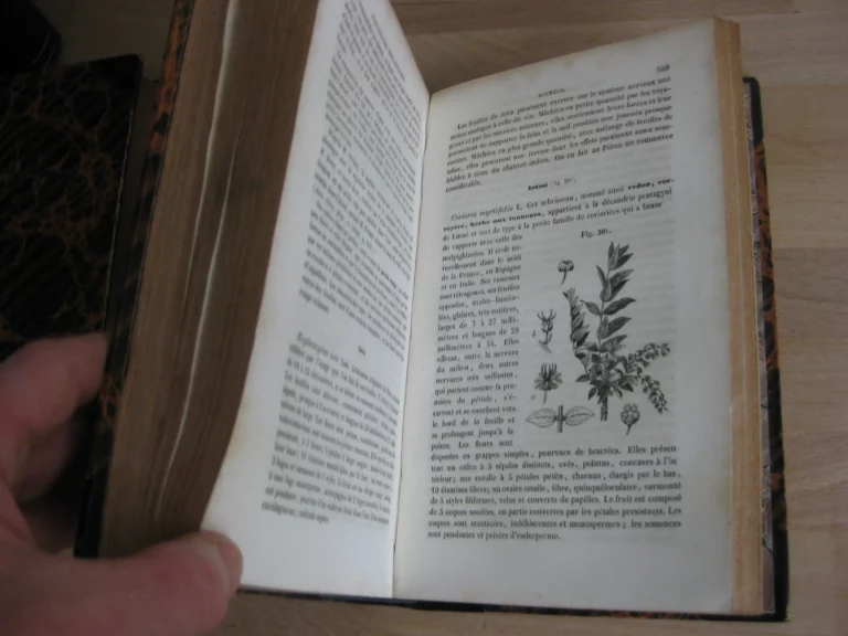 Histoire naturelle des drogues simples ou cours d'histoire naturelle