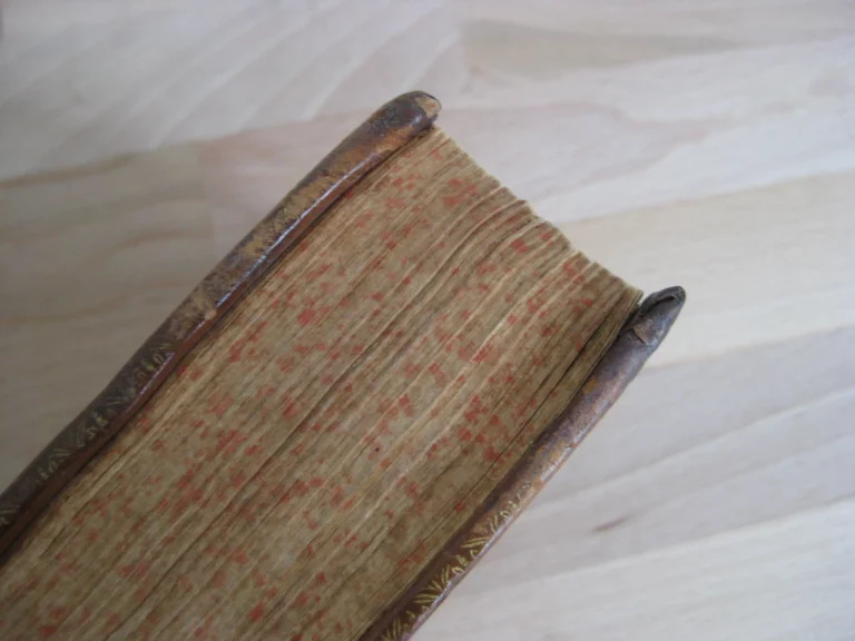 La Cyropaedie ou l’histoire de  Cyrus