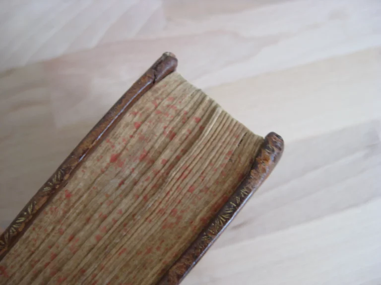 La Cyropaedie ou l’histoire de  Cyrus