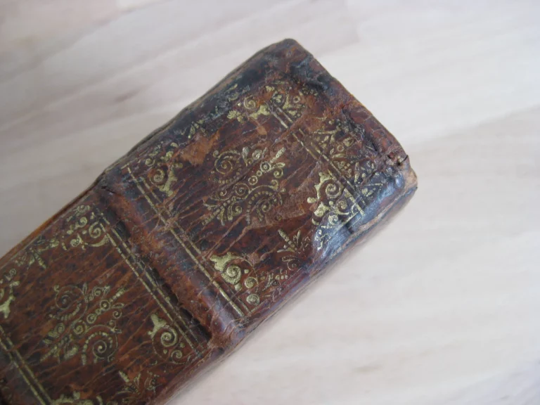 La Cyropaedie ou l’histoire de  Cyrus