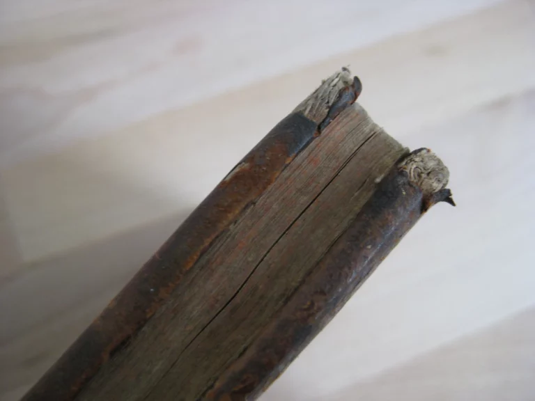 La perspective théorique et pratique - Jacques Ozanam La perspective théorique et pratique - Jacques Ozanam