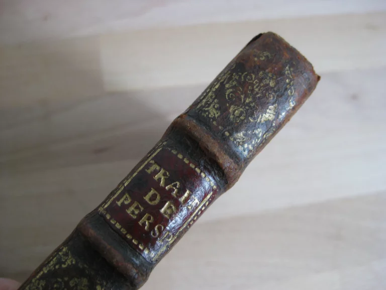 La perspective théorique et pratique - Jacques Ozanam La perspective théorique et pratique - Jacques Ozanam