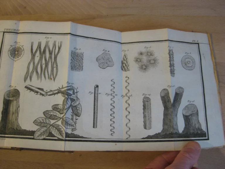 La théorie du jardinage