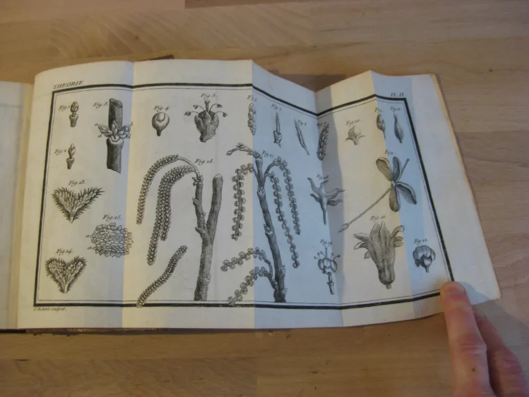 La théorie du jardinage