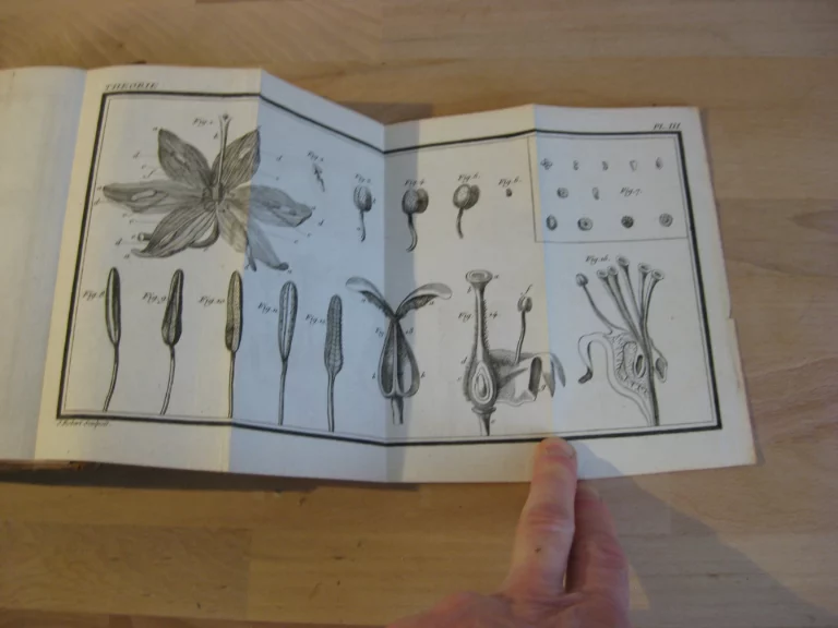 La théorie du jardinage