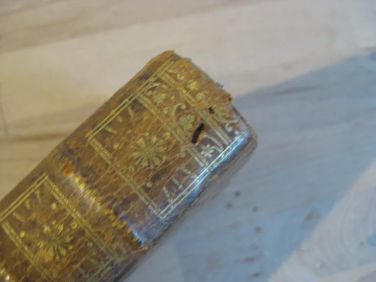 La théorie du jardinage