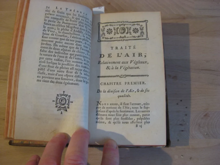 La théorie du jardinage