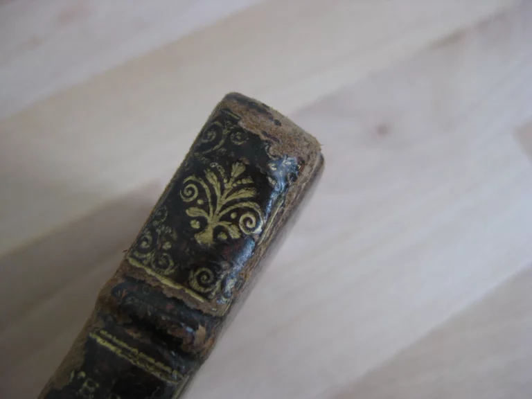 La véritable connoissance de soy-mesme,avec les pratiques d’humilité qu’on en doit tirer