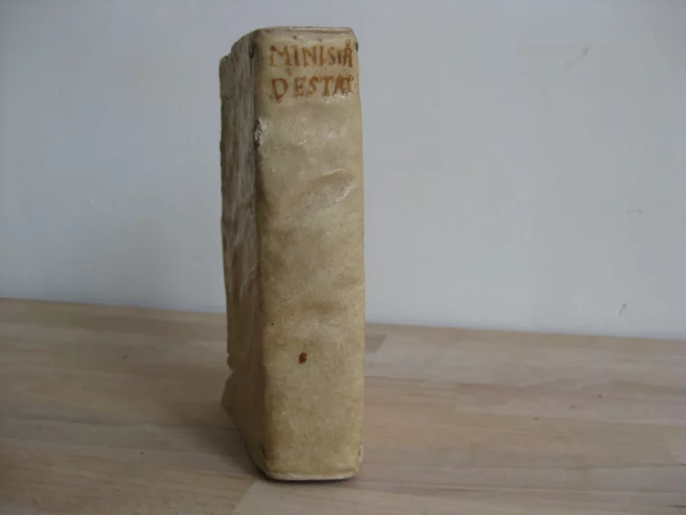 Le ministre d'estat, avec le véritable usage de la politique moderne