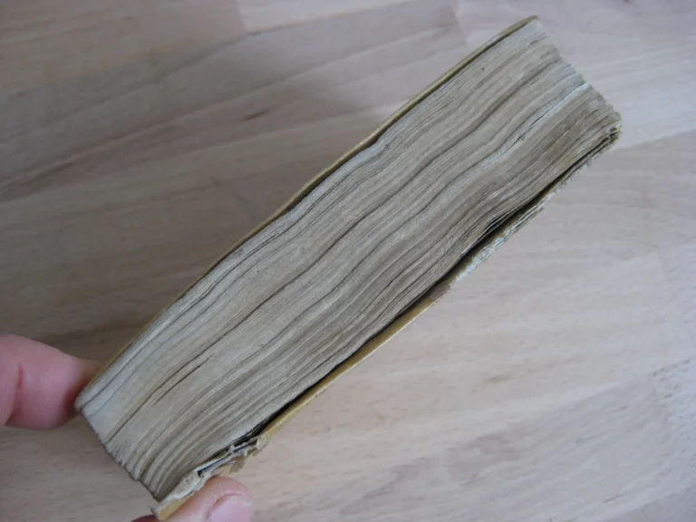 Le ministre d'estat, avec le véritable usage de la politique moderne