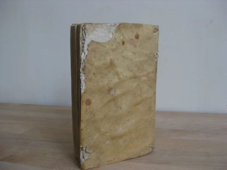 Le ministre d'estat, avec le véritable usage de la politique moderne