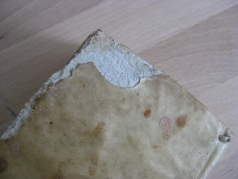 Le ministre d'estat, avec le véritable usage de la politique moderne