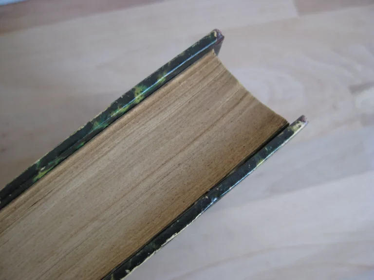 Les Français au Tonkin et en Chine