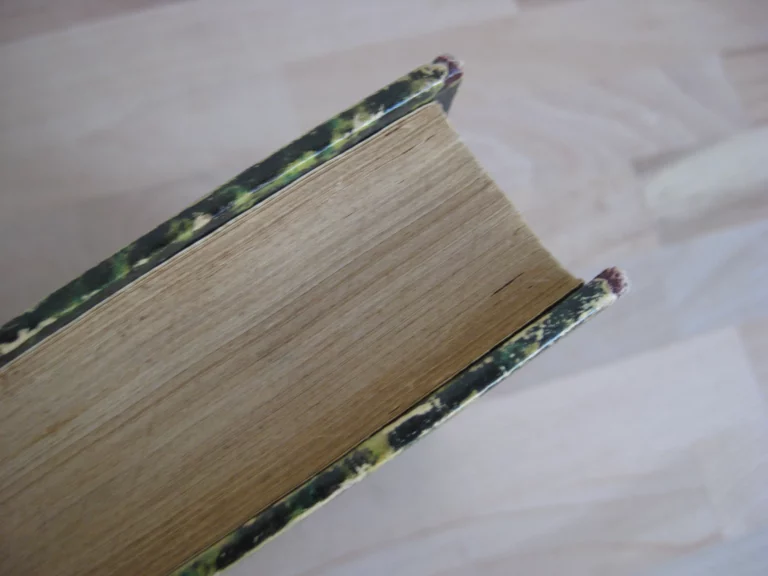 Les Français au Tonkin et en Chine