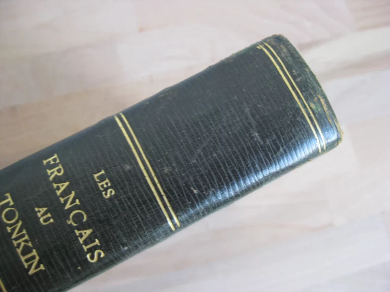 Les Français au Tonkin et en Chine