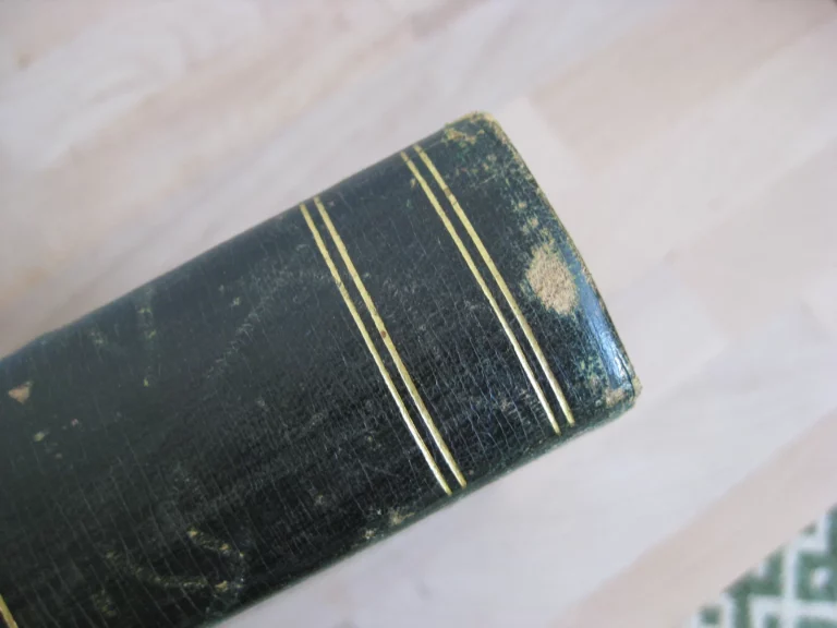 Les Français au Tonkin et en Chine