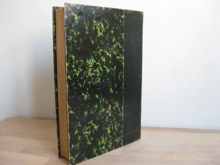 Les Français au Tonkin et en Chine