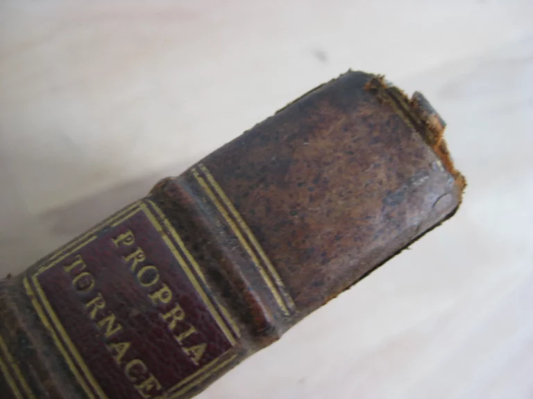 Officia propria antiquissimae et celeberrimae cathedralis ecclesiae et dioecesis Tornacensis