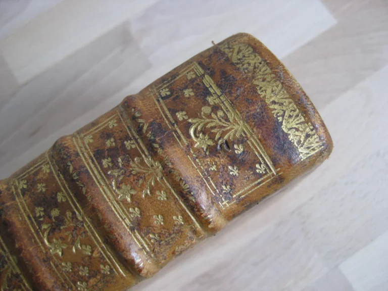 Pauli Aeginetae medici opera