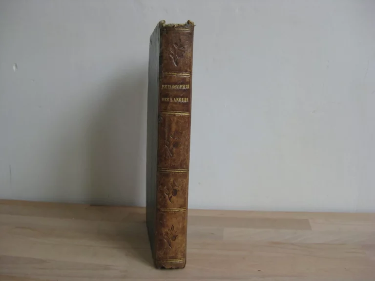 Philosophie des langues