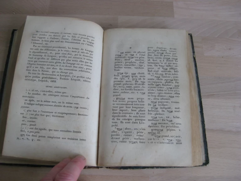 Philosophie des langues