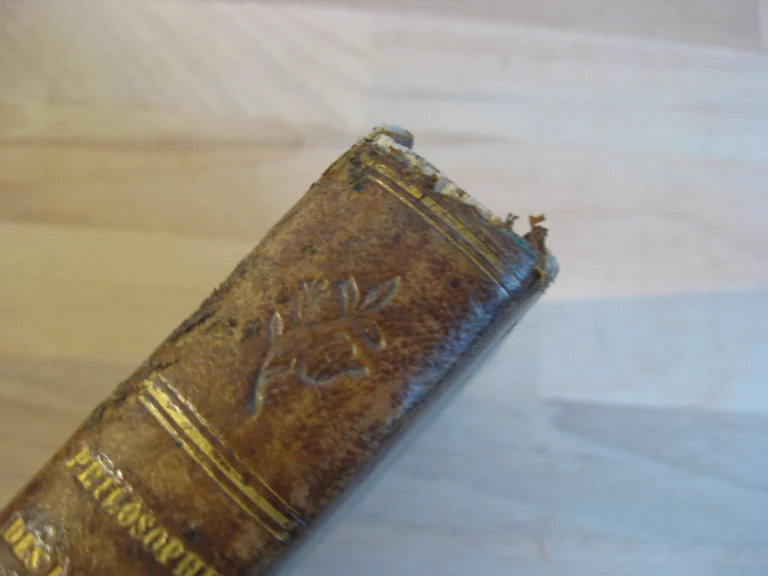 Philosophie des langues