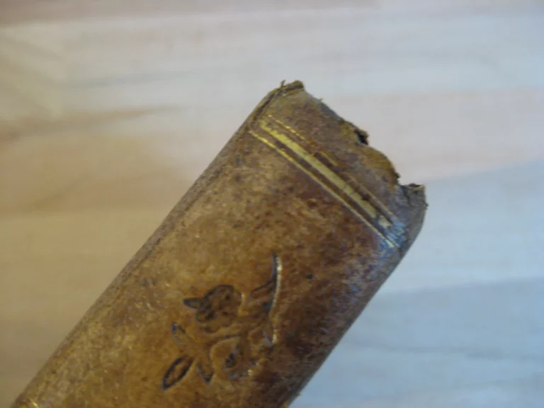 Philosophie des langues