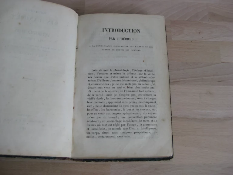 Philosophie des langues