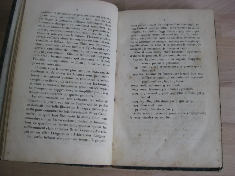 Philosophie des langues