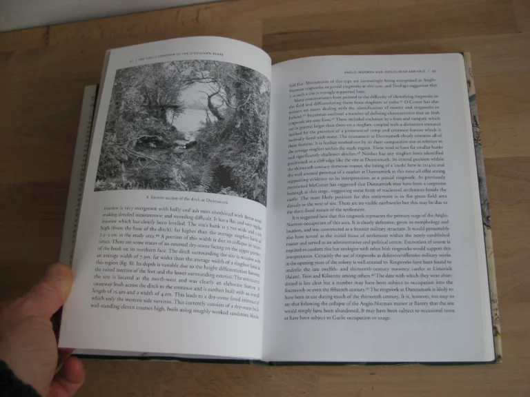 The Gaelic Lordship of the O'sullivan Beare: A Landscape Cultural History