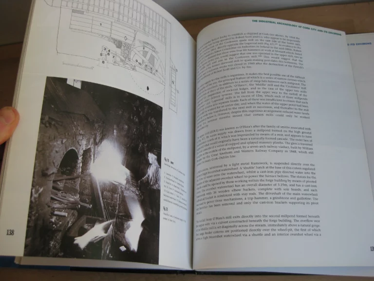 The Industrial Archaeology of Cork and Its Environs 