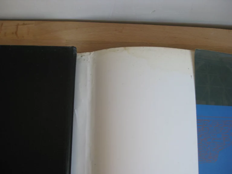 The Industrial Archaeology of Cork and Its Environs 