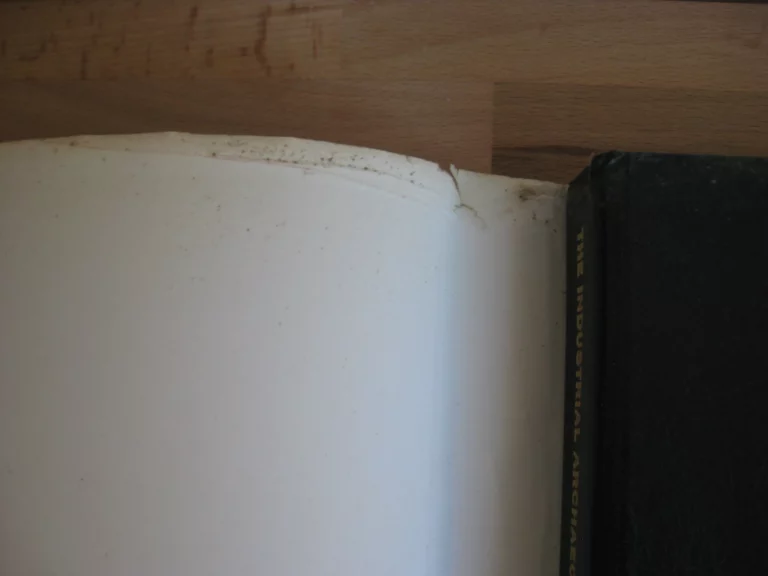 The Industrial Archaeology of Cork and Its Environs 