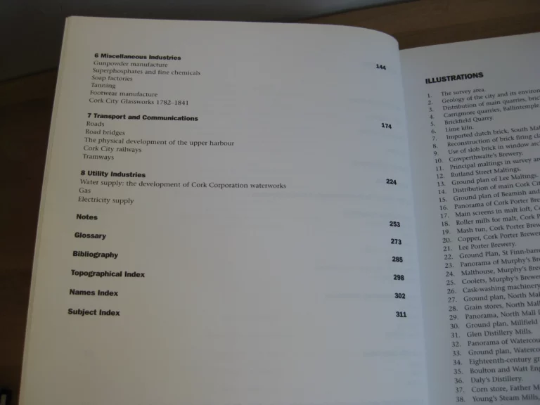 The Industrial Archaeology of Cork and Its Environs 