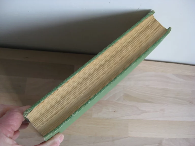 The Scarecrow of OZ - L. Frank Baum / John R. Neill - Édition originale The Scarecrow of OZ - L. Frank Baum / John R. Neill - Édition originale