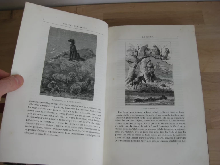 Tritia. Histoire des fléaux et misères de la chasse en France