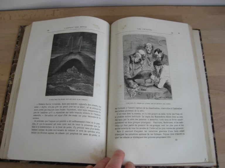 Tritia. Histoire des fléaux et misères de la chasse en France
