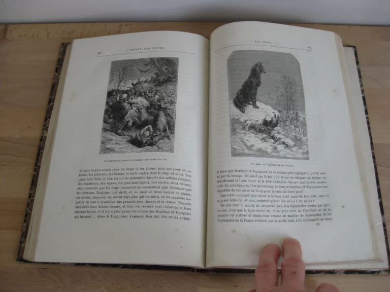 Tritia. Histoire des fléaux et misères de la chasse en France