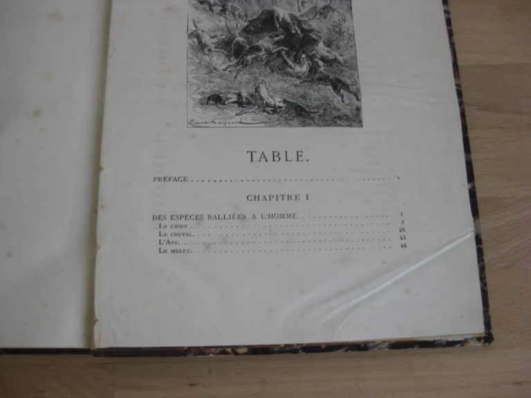 Tritia. Histoire des fléaux et misères de la chasse en France