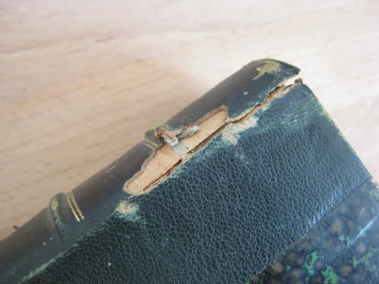 Tritia. Histoire des fléaux et misères de la chasse en France