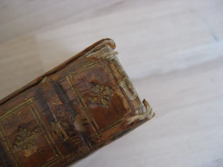 C. Cornelius Tacitus ex I. Lipsii accuratissima editione cum Not. et Emend. H. Grotti C. Cornelius Tacitus ex I. Lipsii accuratissima editione cum Not. et Emend. H. Grotti