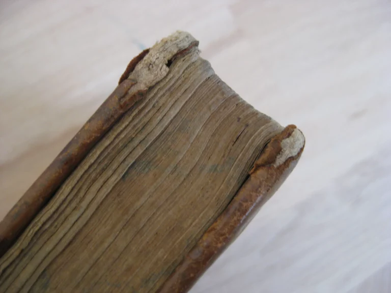 C. Cornelius Tacitus ex I. Lipsii accuratissima editione cum Not. et Emend. H. Grotti C. Cornelius Tacitus ex I. Lipsii accuratissima editione cum Not. et Emend. H. Grotti