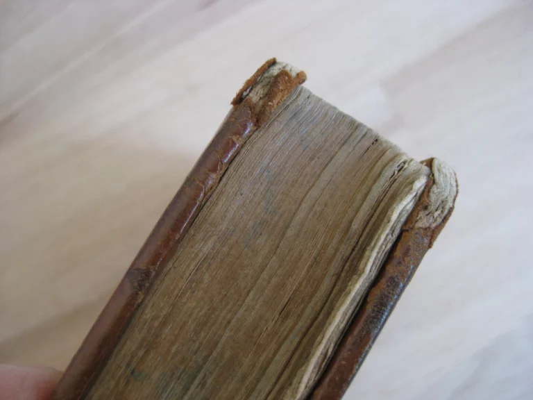 C. Cornelius Tacitus ex I. Lipsii accuratissima editione cum Not. et Emend. H. Grotti C. Cornelius Tacitus ex I. Lipsii accuratissima editione cum Not. et Emend. H. Grotti