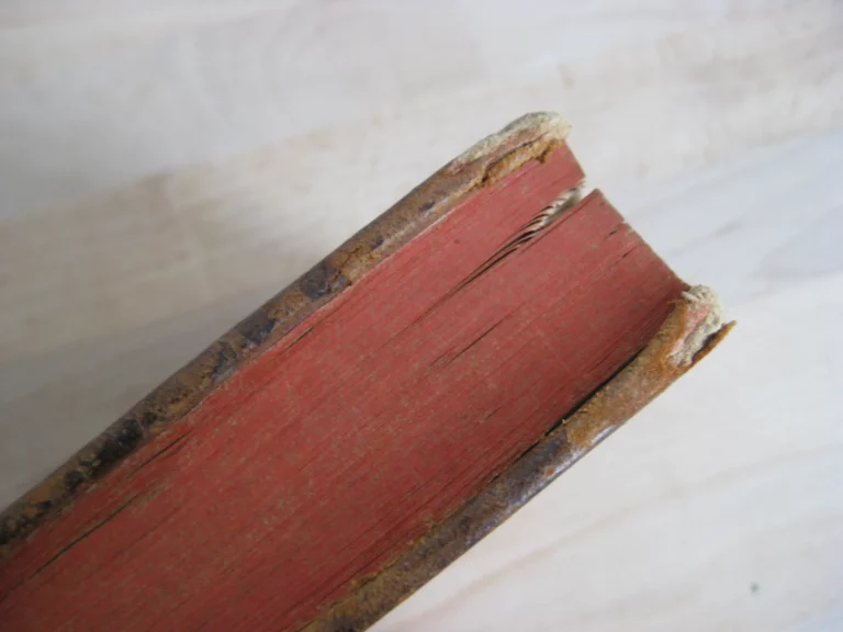 Histoire de la santé et de l’Art de la conserve Histoire de la santé et de l’Art de la conserve