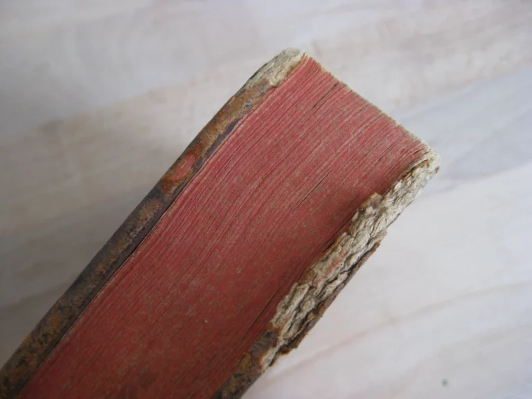 Histoire de la santé et de l’Art de la conserve Histoire de la santé et de l’Art de la conserve