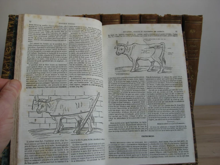 Journal des connaissances utiles - 1831 à 1846, 8 volumes, complet Journal des connaissances utiles - 1831 à 1846, 8 volumes, complet
