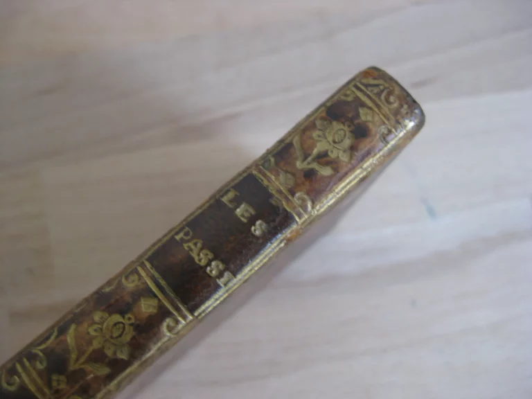 Les passions des différents âges ou Tableau des folies du siècle