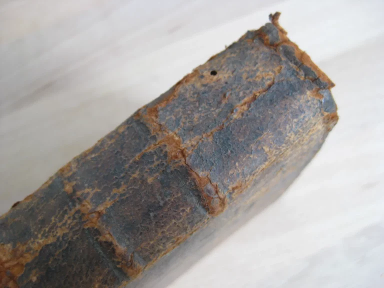 Orationes ex sallustii, livii, curtii, et taciti