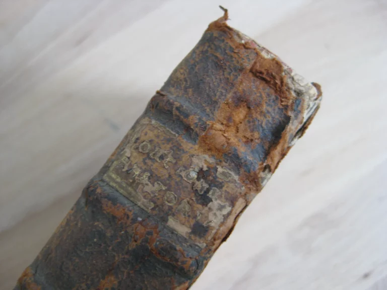 Orationes ex sallustii, livii, curtii, et taciti